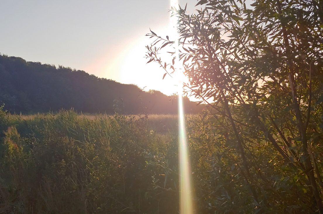 Wer_Ist_ FrolleinAnne_1 (1)